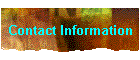 Contact Information