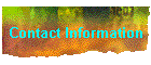 Contact Information